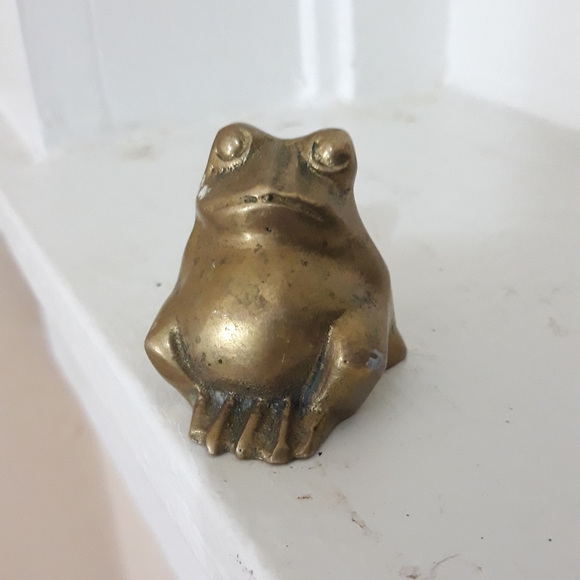 Snooty Amphibian - Picture 6 of 7